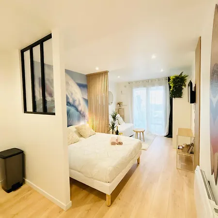 Appartamento Dune Océan Luxe Appartement, Accès Privé, Parking&wifi 50m Océan Surf *