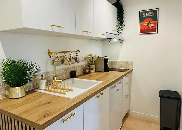 Dune Ocean Luxe Appartement, Acces Prive, Parking & Wifi 50m Ocean Surf * Seignosse